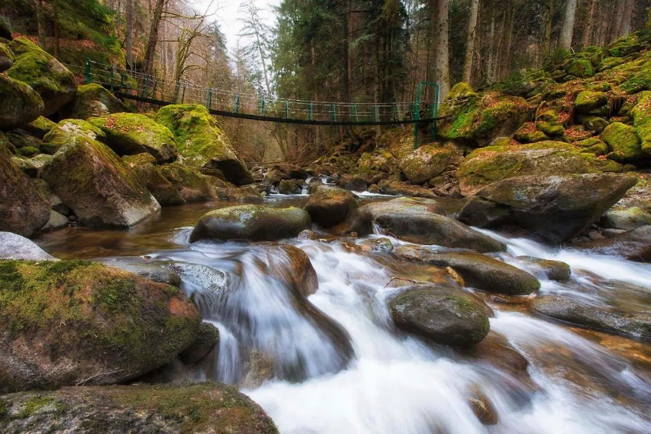 Ferienwohnung Geyersberg Inklusive Aktivcard Bayerischer Wald Freyung Apartamento