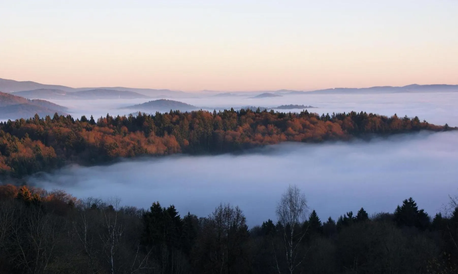 Ferienwohnung Geyersberg Inklusive Aktivcard Bayerischer Wald Freyung Apartamento